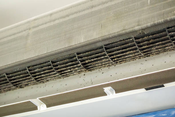 Best Air Duct Mold Removal  in Kingsbury, NV