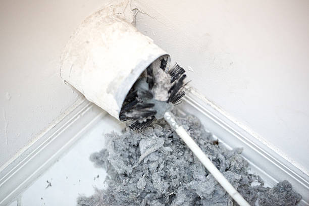 Best Local Air Duct Cleaning Services  in Kingsbury, NV